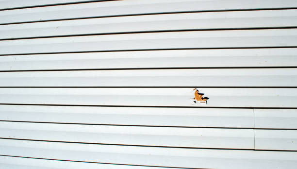 Best Historical Building Siding Restoration  in Youngsville, LA
