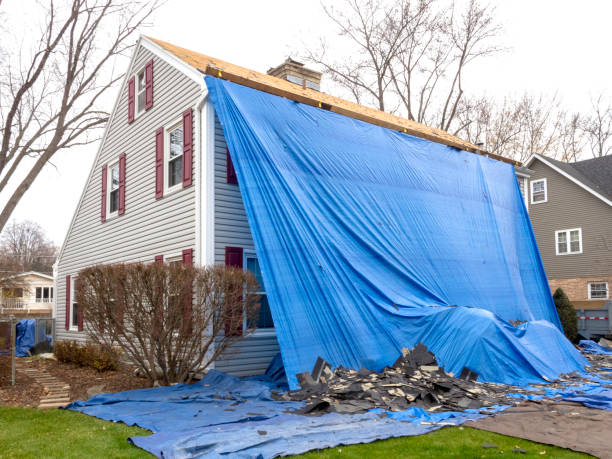 Professional Siding Installation & Repair in Youngsville, LA
